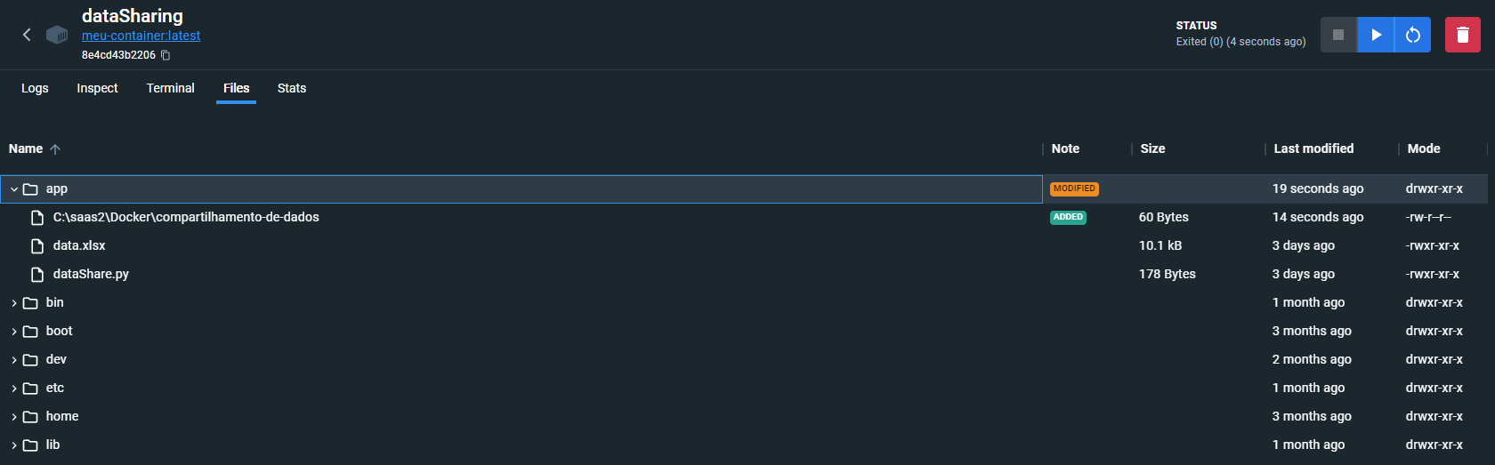 diretórios dentro do docker